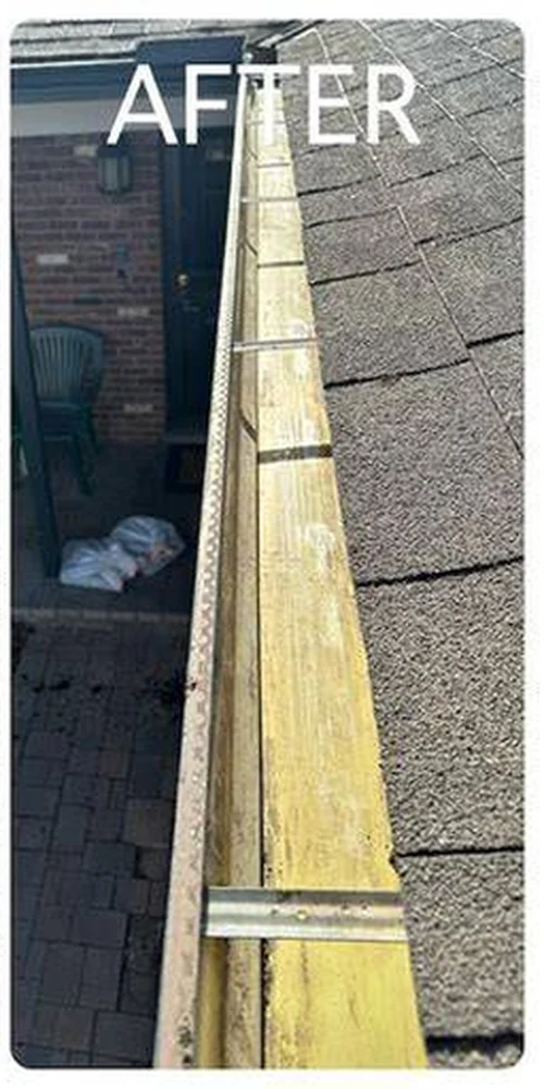 Gutter Cleaning