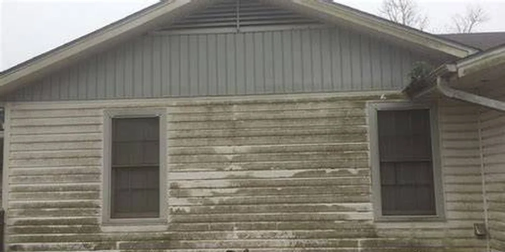 House exterior before cleaning
