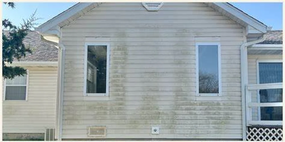 House exterior before cleaning